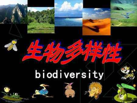中国申报自然遗产 偏爱“生物多样性”