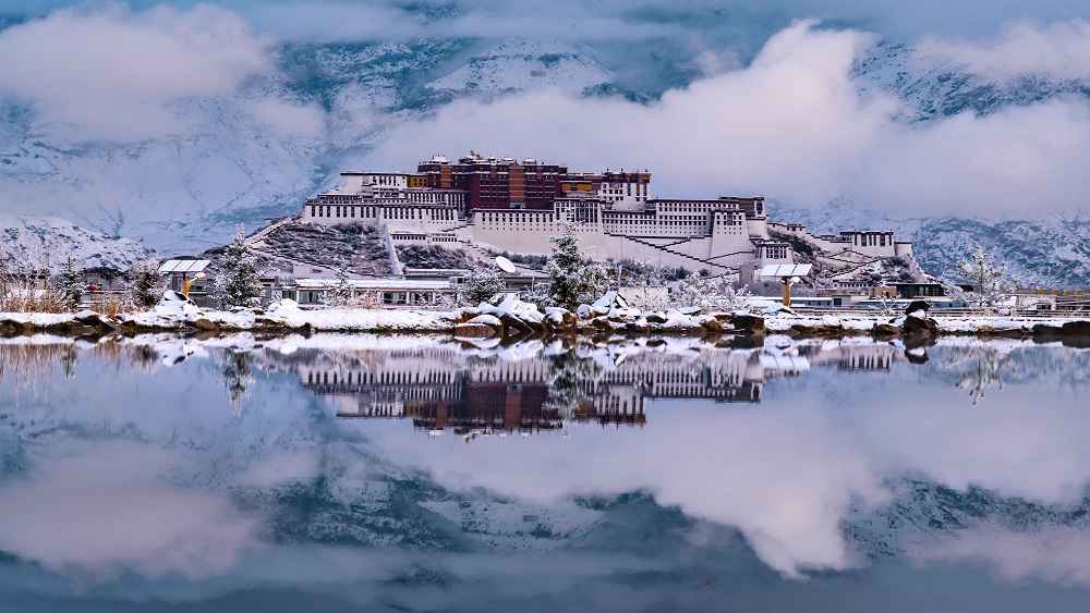  成都赏花的地方有哪些