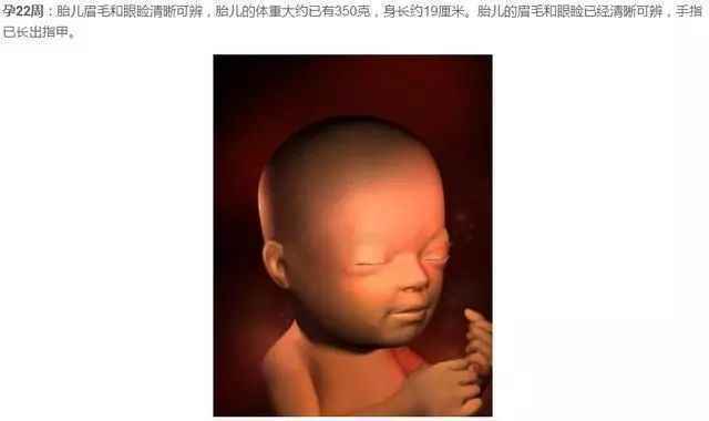 胎儿发育过程图（1-40周胎儿发育图）