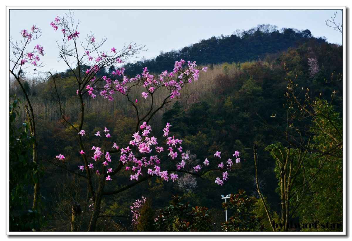  四川旅游最佳时间 什么季节来四川最好