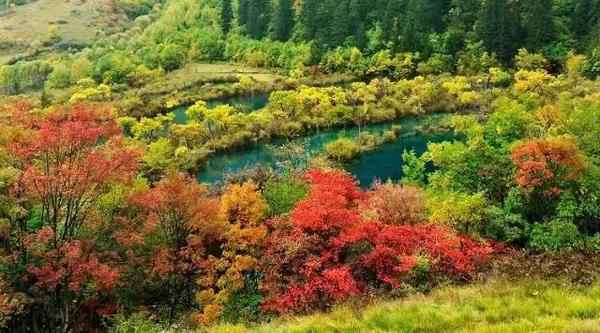  四川赏枫叶最全指南