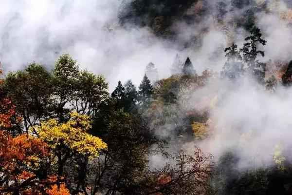  四川赏枫叶最全指南
