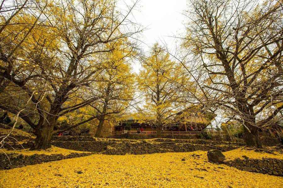 11月、12月国内旅游景点推荐 最适合去旅游的地方