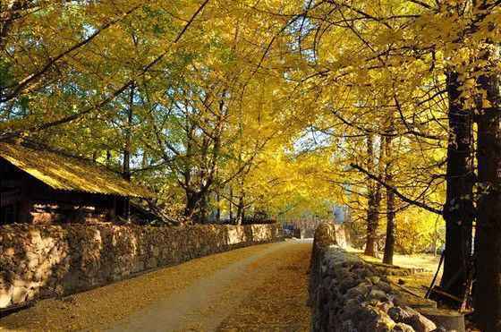 11月份最适合去哪里旅游 十一月份国内、国外最佳旅游地