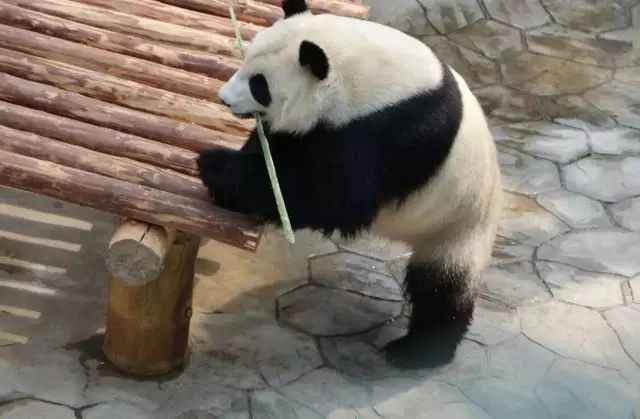 沈阳周边一日游、两日游景点及好玩的地方