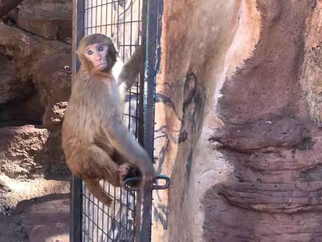 10处昆明周边自驾游景点推荐 一日游、两日游好玩的地方