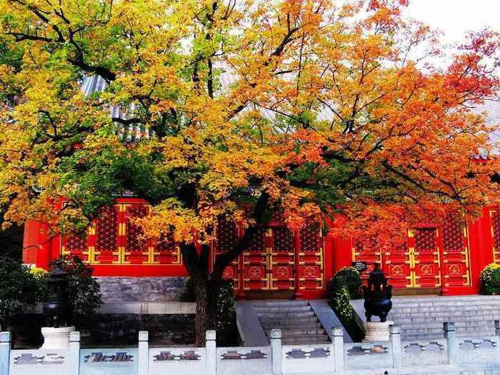 11月旅游景点推荐 最适合去旅游的地方