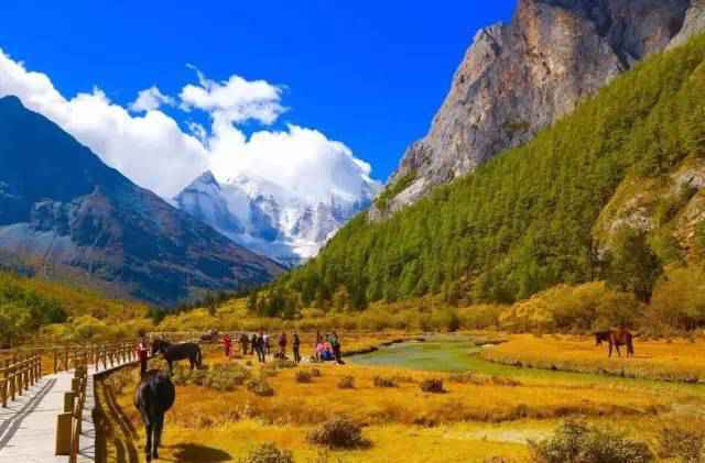 11月旅游景点推荐 最适合去旅游的地方