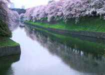2019去日本旅游景点推荐