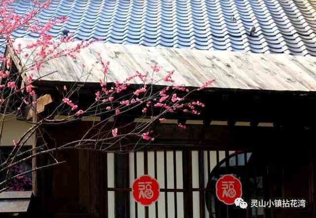 2019春节出游推荐 春节期间最受欢迎的3个景区