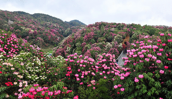 4月份国内最佳旅游景点推荐