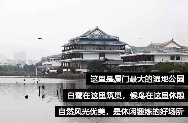 厦门最坑爹的10个景点，本地人根本不去！