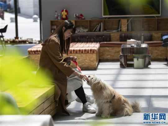 世界之巅绽放青春梦想——那些因珠峰改变的年轻人们