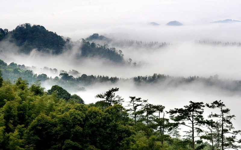 武汉周边旅游景点推荐 六个人少景美的武汉周边自驾游推荐
