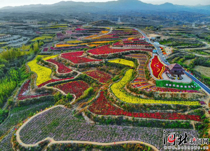 最美人间四月天！河北推出40条“春观花”乡村旅游线路