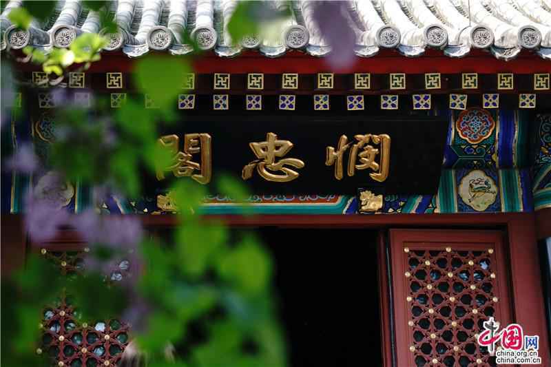 四月赏京畿花事：千年古刹里丁香正美