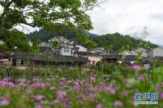 （春季美丽生态）（3）春日雨后 山水如画