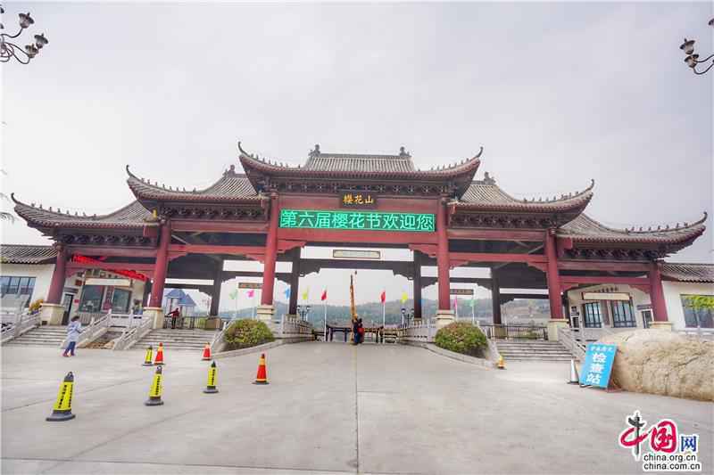 邹平樱花山花季正当时 开启樱花有约的春之旅