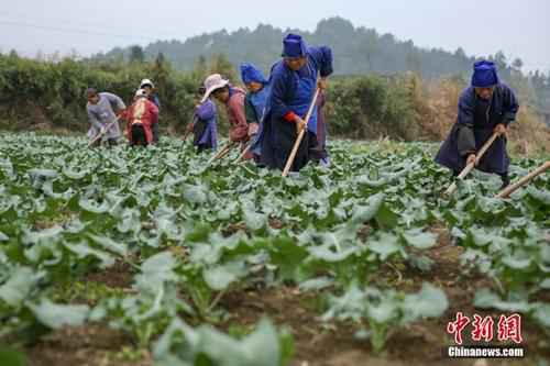 “竖蛋”迎春、粘雀子嘴……春分习俗知多少？