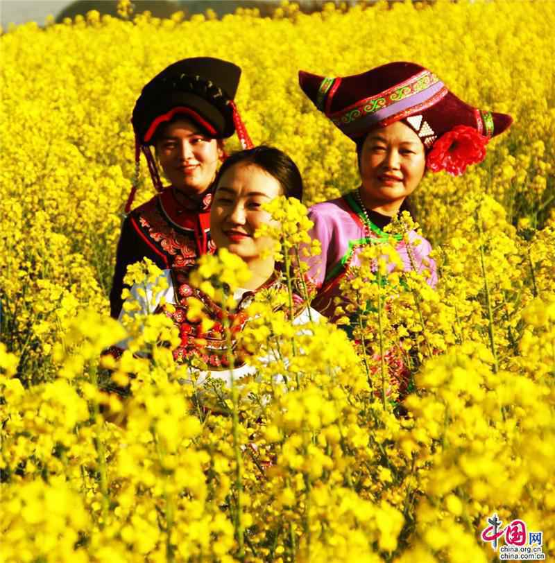 云南罗平:花美油香 古法榨油成旅游新亮点
