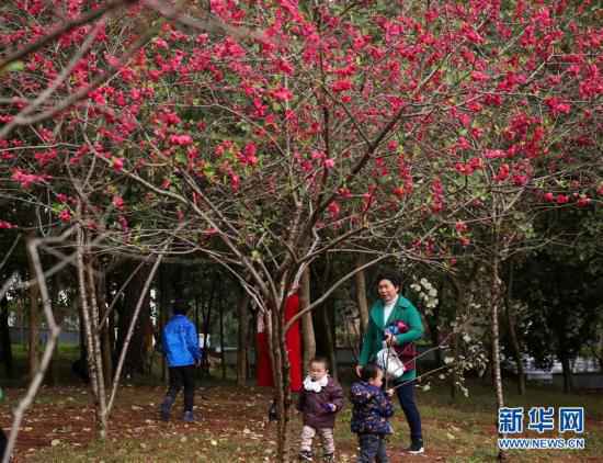 #（社会）（2）春暖花开迎客来