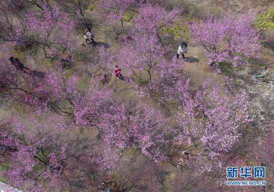 #（社会）（4）春暖花开迎客来