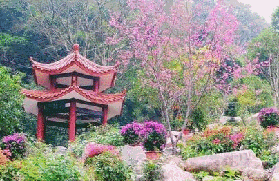 《福州初春赏花地图》曝光！惊艳全城！