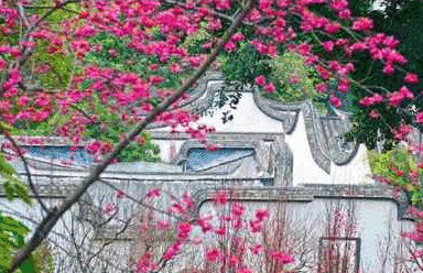 《福州初春赏花地图》曝光！惊艳全城！