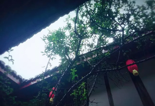 徘徊在心尖上的阆中古城