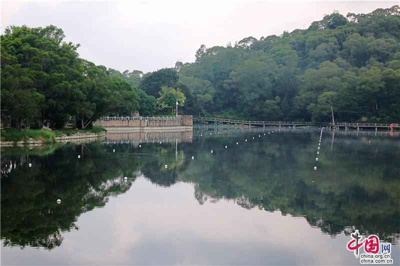厦门大学思源谷：群芳吐芬菲 白云接翠微