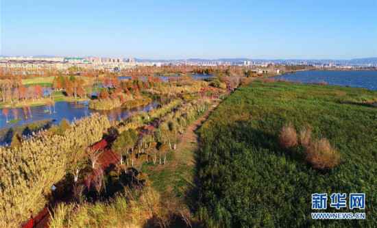 （生态）（4）滇池湿地冬日美