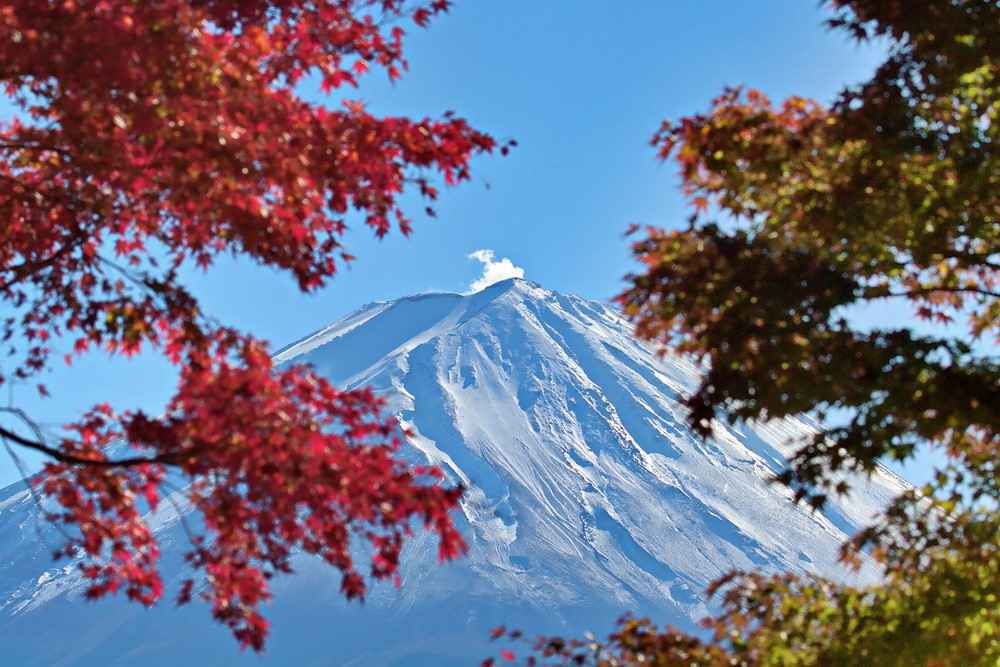 旅拍富士：不同的角度 不一样的风景