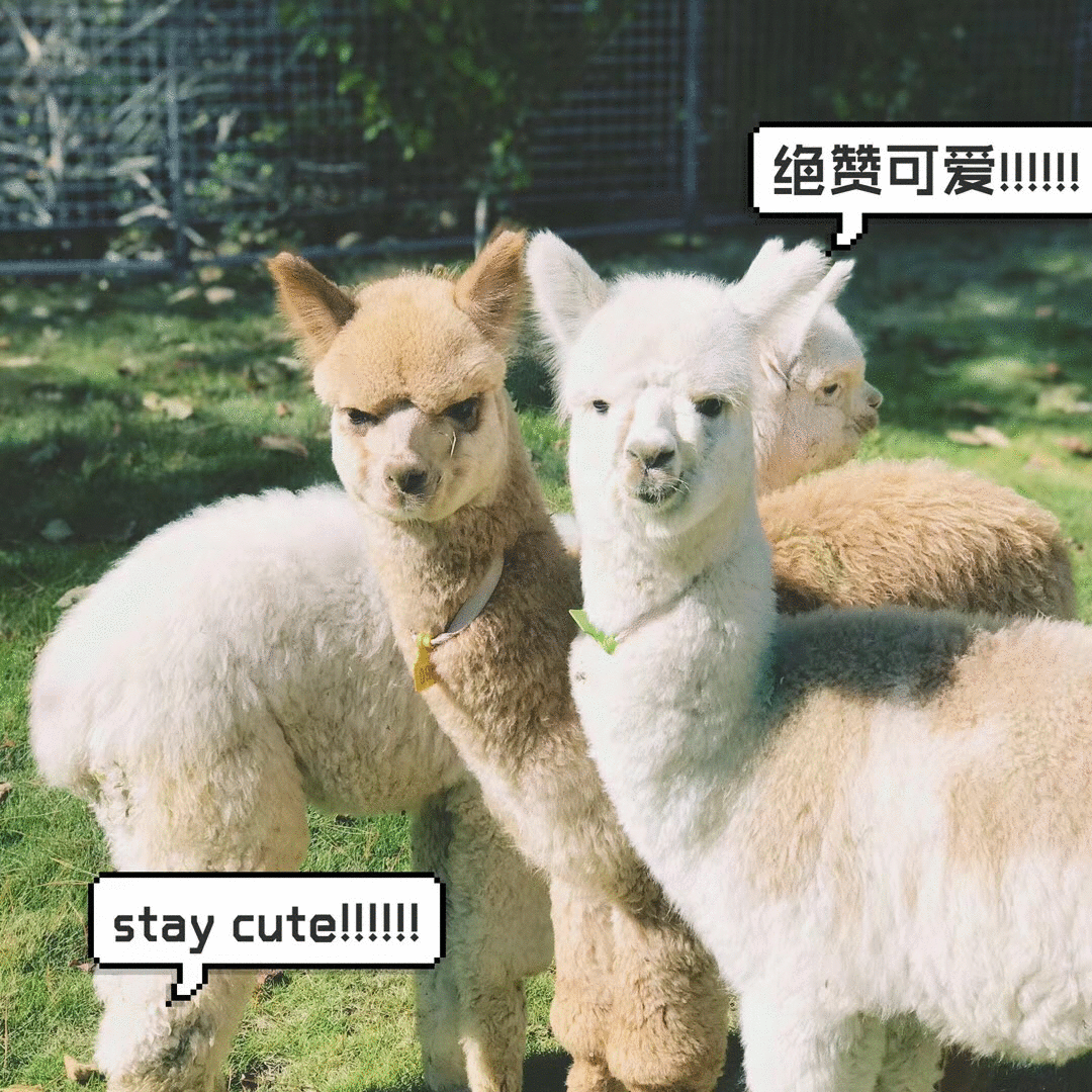 图片9.png