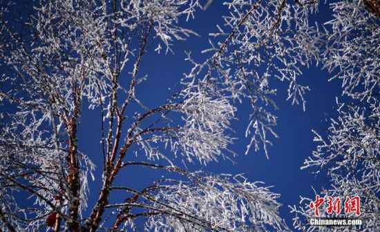 千余游客四川海螺沟赏冰雪美景