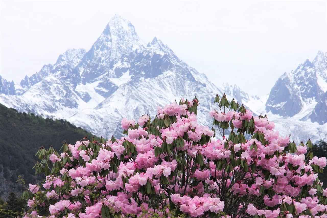  贡嘎雪山在哪里？夏天去体验怎样？
