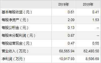 中胤时尚基本情况