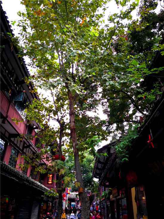  向大家说清楚跟团游可能会存在的疑惑
