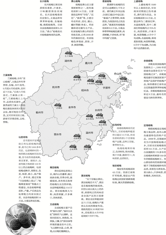 六月，浙里杨梅地图