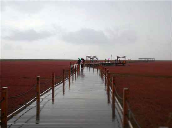  想去盘锦旅游应该怎么玩