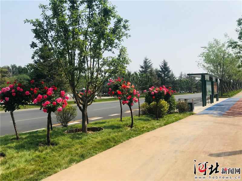廊坊艺术大道添新景精彩绽放5•18