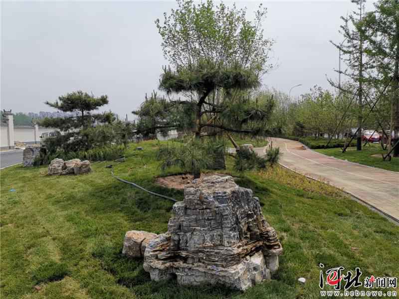 廊坊艺术大道添新景精彩绽放5•18