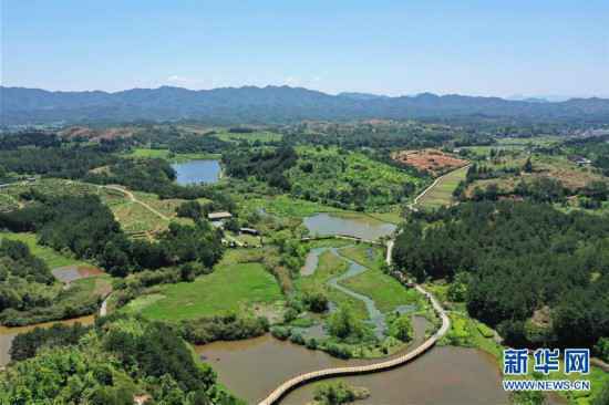 福建长汀：换颜“山光水浊” 永驻绿水青山