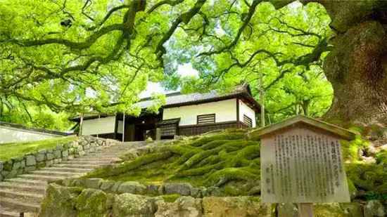  日本横滨经典一日游，这么玩才对