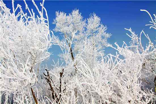  冬天去东北雪乡玩--你要知道的八个问题
