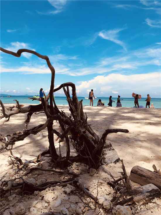  韩国旅行指南：鬼怪海滩，海边看日出