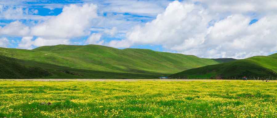  若尔盖美吗？若尔盖草原最佳旅游时间是什么时候