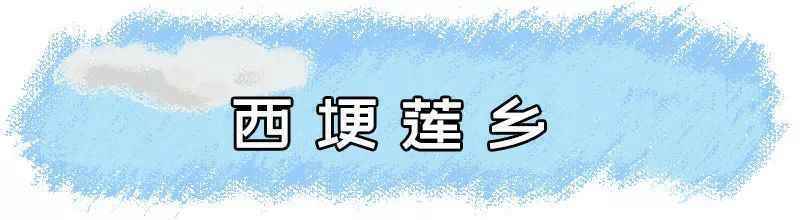 绝大部分免费！南京超全景点汇总！