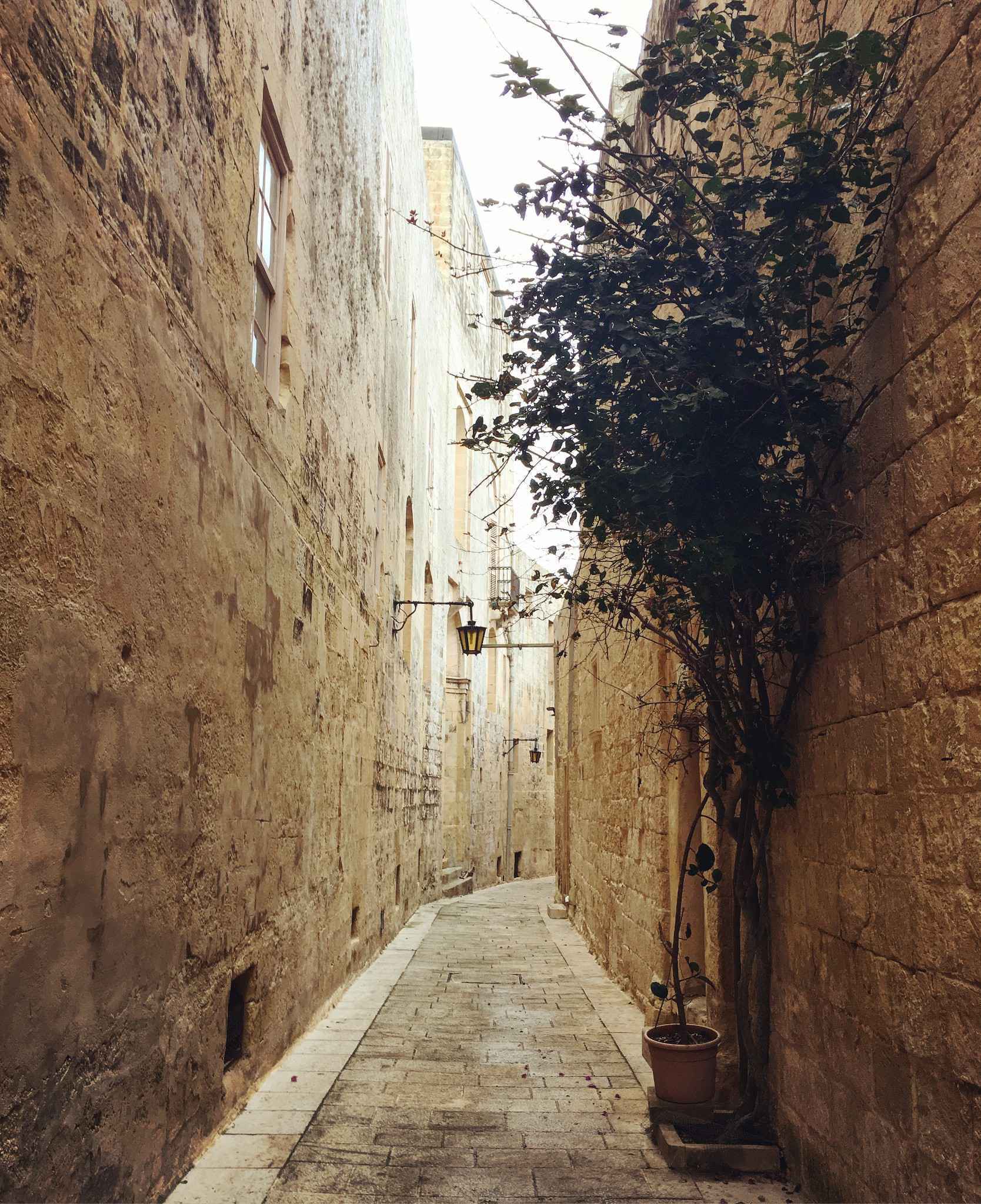 迷之马耳他，被时间遗忘的角落,马耳他旅游攻略