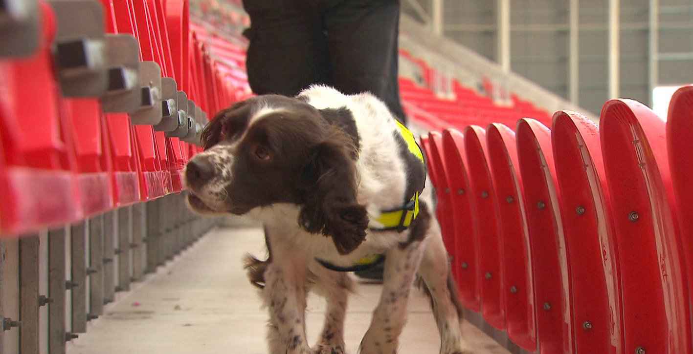 马耳他的碧海蓝天,马耳他旅游攻略