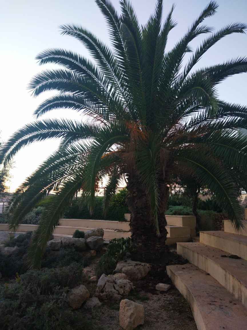 马耳他的碧海蓝天,马耳他旅游攻略